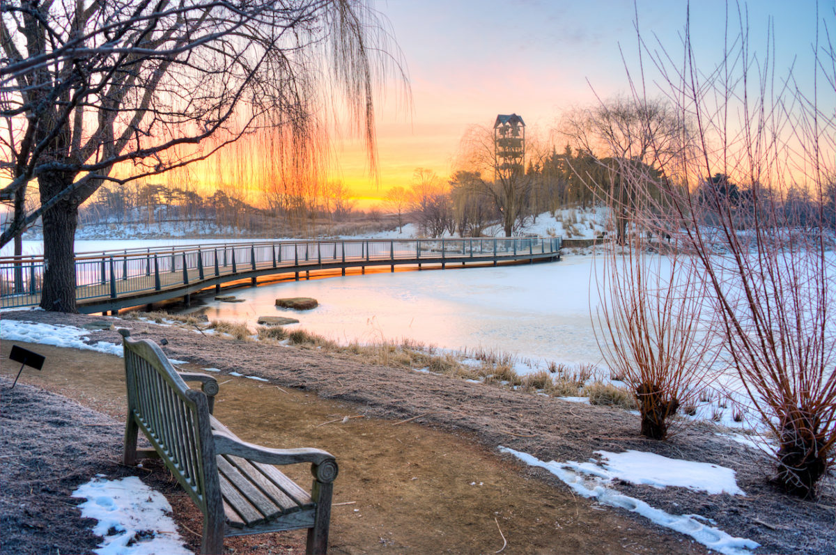 Chicago Botanic Garden's large events are canceled this winter. But